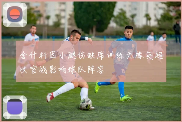 舍什科因小腿伤缺席训练无缘英超收官战影响球队阵容